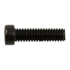 TORX HEAD SCOPE RING & BASE SCREWS - T-10 FILLISTER HEAD SCREW 6-40 X 1/2  12 PACK