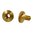 BROWNELLS LATIGO BRASS CHICAGO SCREWS, 2 PACK