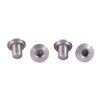 SLIM GRIP SCREWS - SLIM GRIP SCREWS, SS