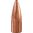 SPEER 270 CALIBER (0.277") 90GR HOLLOW POINT 100/BOX