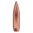 SPEER 25 CALIBER (0.257") 120GR SOFT POINT 100/BOX